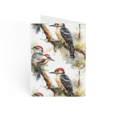 Woodpecker Greeting Cards - Nature Inspired, Bird Lover Gifts, Set of 1, 10, 30, or 50, Perfect for Any Occasion